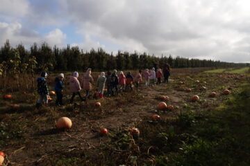 wycieczka do sadu powitanie pani jesieni w języku angielskim