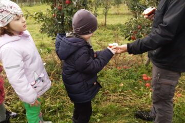wycieczka do sadu powitanie pani jesieni w języku angielskim