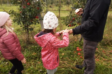 wycieczka do sadu powitanie pani jesieni w języku angielskim