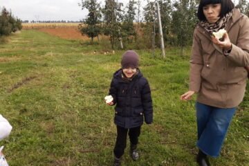 wycieczka do sadu powitanie pani jesieni w języku angielskim