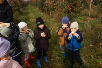 wycieczka do sadu powitanie pani jesieni w języku angielskim
