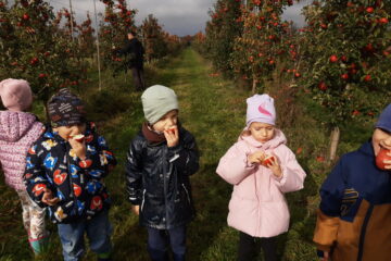 wycieczka do sadu powitanie pani jesieni w języku angielskim