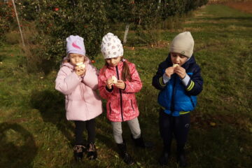 wycieczka do sadu powitanie pani jesieni w języku angielskim