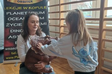 Automatycznie zapisany szkic