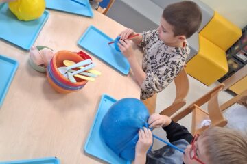 Automatycznie zapisany szkic