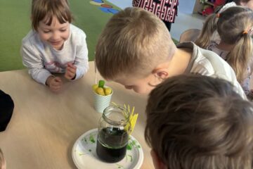 3563c4cf 2152 4181 a94d 82592b48c9fd