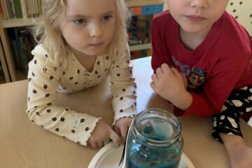 e975b8ad 0d32 4c62 ae6f 43a20f2a591b