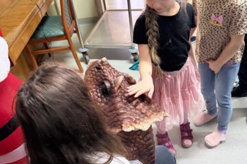 WhatsApp Image 2026 02 03 at 22.34.53 (18)