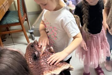 WhatsApp Image 2026 02 03 at 22.34.53 (19)