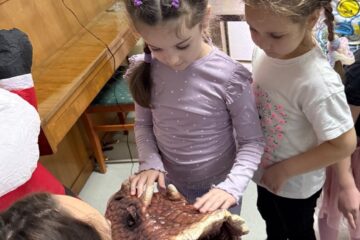 WhatsApp Image 2026 02 03 at 22.34.53 (20)