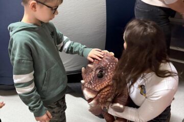 WhatsApp Image 2026 02 03 at 22.34.53 (9)