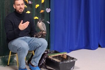 Spotkanie z sokolnikiem