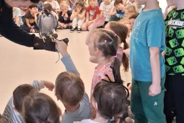 Spotkanie z sokolnikiem