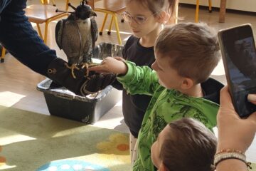 zajęcia przyrodnicze spotkanie z sokolnikiem