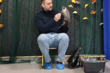 Zajęcia z Sokolnikiem