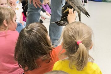 Zajęcia z Sokolnikiem