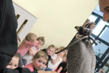 Zajęcia z Sokolnikiem