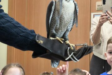 Zajęcia z Sokolnikiem