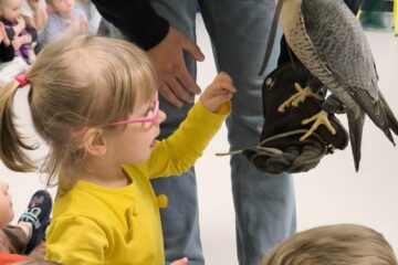 Zajęcia z Sokolnikiem