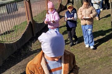 0d5d4f8a 11b0 4ee2 b00e 5bed7ca1cdde