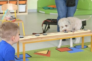 Zajęcia z psem Amirą