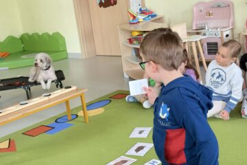 Zajęcia z psem Amirą