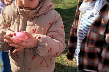 613d2817 d3fe 4c8b 947c b062e1d53f70