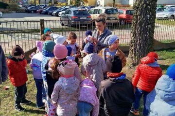 8fe21bd8 26f3 4f2c b9b5 6d13dc44c3d4