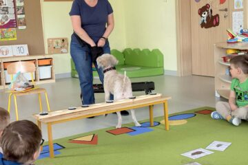 Zajęcia z psem Amirą