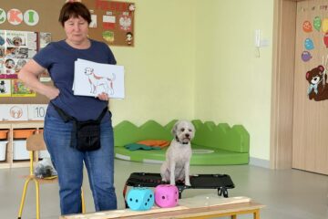 Zajęcia z psem Amirą
