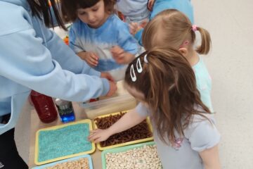 IMG 20260416 092755892 MP