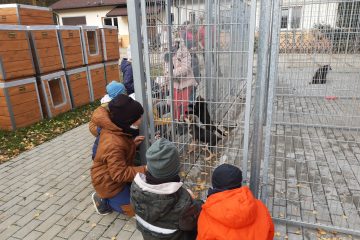 Wycieczka do Schroniska dla bezdomnych zwierząt