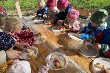 Wycieczka do sadu w Borownie