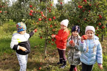 Wycieczka do Sadu na zajęcia kulinarne