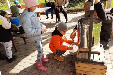 Wycieczka do Sadu na zajęcia kulinarne