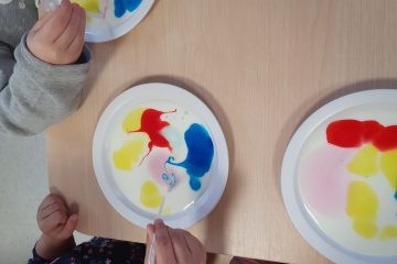 Projekt "Dotknij, poczuj, zobacz"