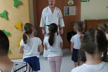 Budo karate