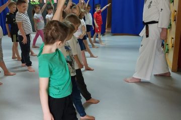 Budo karate