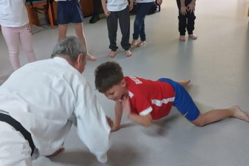 Budo karate