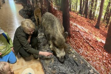 Nadleśnictwo w Złotym Potoku