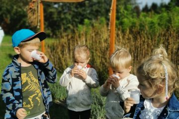 Dookoła wszędzie zioła, czyli wycieczka do Gospodarstwa Wierus