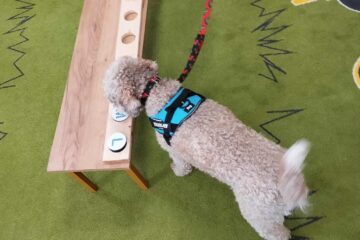 Messenger creation C42ACD40 0E4D 49EC 8E81 9A706CFC7DB2