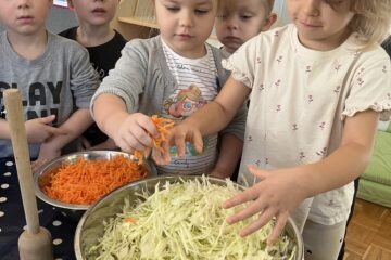 Kiszenie kapusty nawiązanie do tematu tygodnia „Zdrowie na talerzu”.