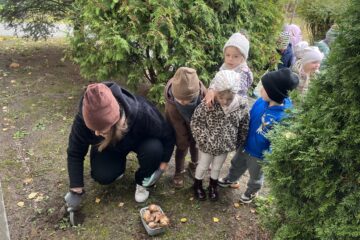 Żonkilowe pola nadziei.