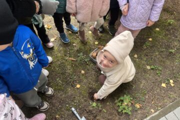 Żonkilowe pola nadziei.