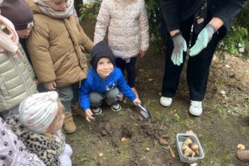 Żonkilowe pola nadziei.