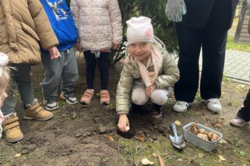 Żonkilowe pola nadziei.