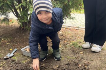 Żonkilowe pola nadziei.