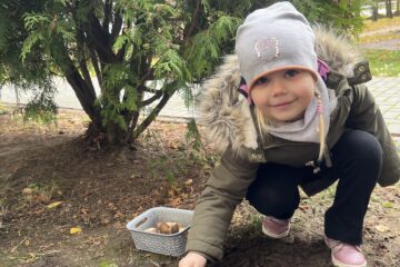 Żonkilowe pola nadziei.