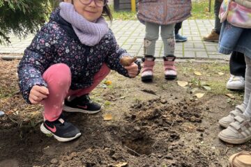 Żonkilowe pola nadziei.